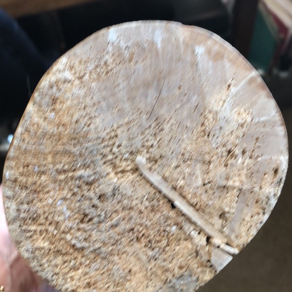 MAKE AN OFFER! Vintage Hand Carved Tropical Bird from Nassau - Picture 8 of 10